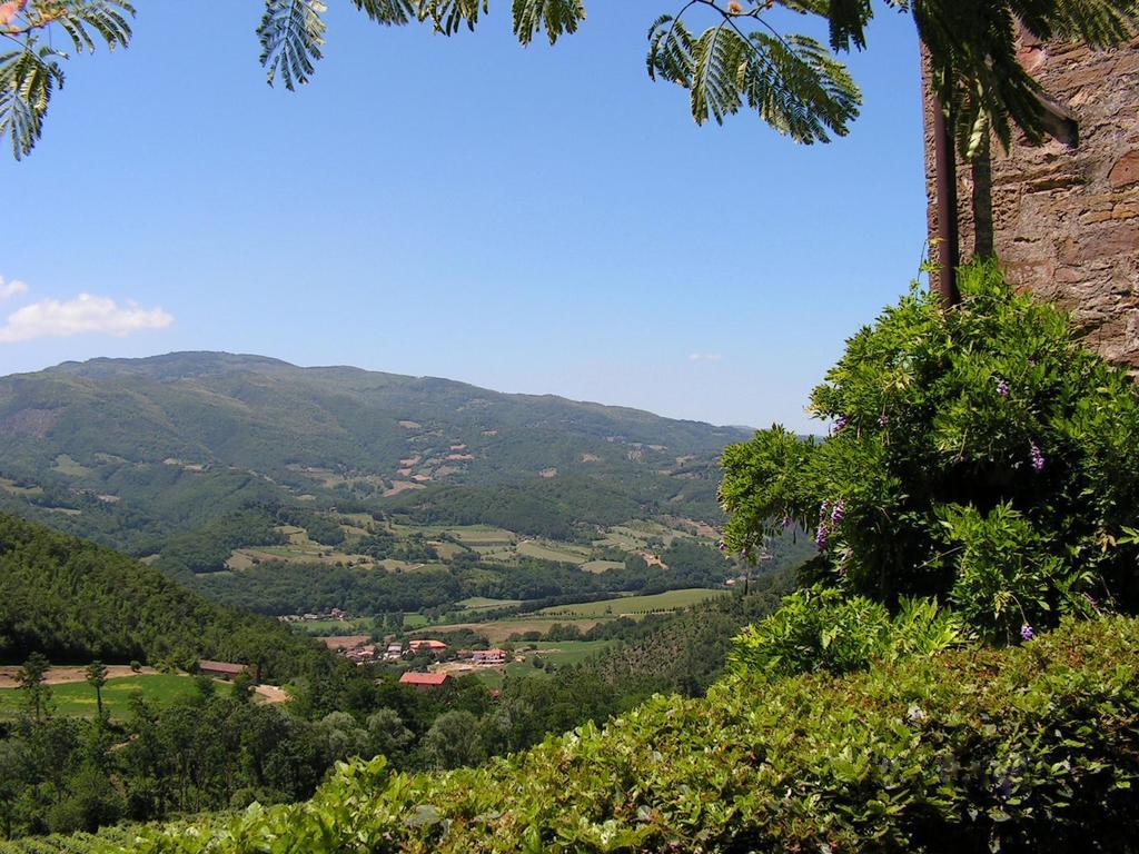 Fattoria Il Lago Dicomano Habitación foto
